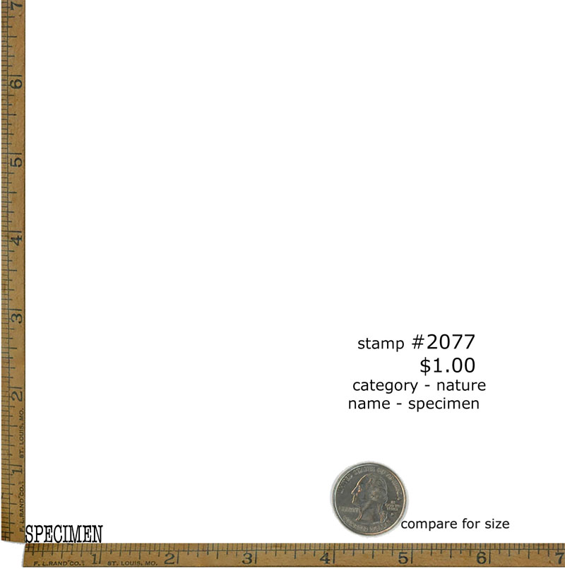 #2077 - Specimen - Nature